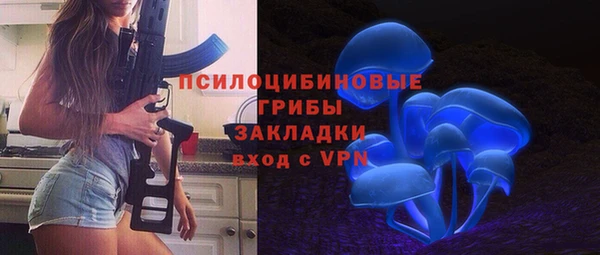 дживик Дмитров