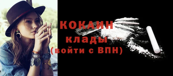 прущие крисы Дмитриев