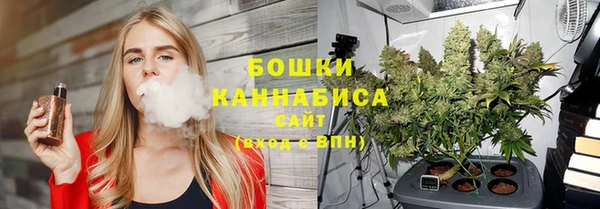 дживик Дмитров