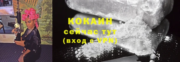 прущие крисы Дмитриев