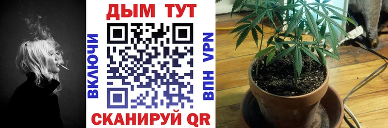 kraken tor Архангельск Конопля семена